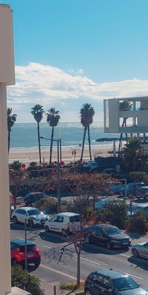 Charmant T2 Les Plages Dorées vue mer + parking